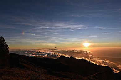 《JOJO奇妙冒险：群星之战R》广濑康一预告